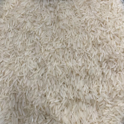 Kaushik Agri Exports