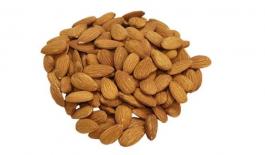 Kaushik Agri Exports